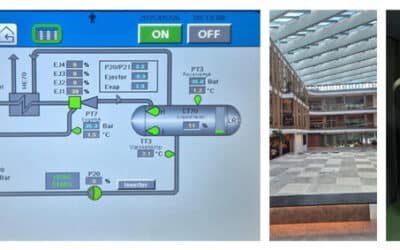 Birdie, eagle eller albatross