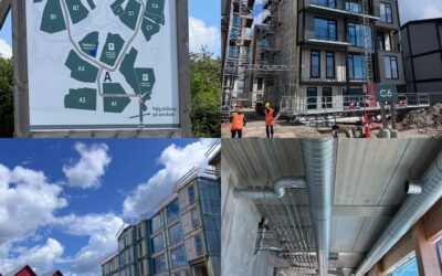 Halepadder men ikke pladder …..